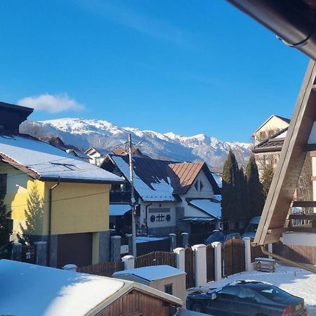 Vila Panselutelor 6 Sinaia Exteriér fotografie