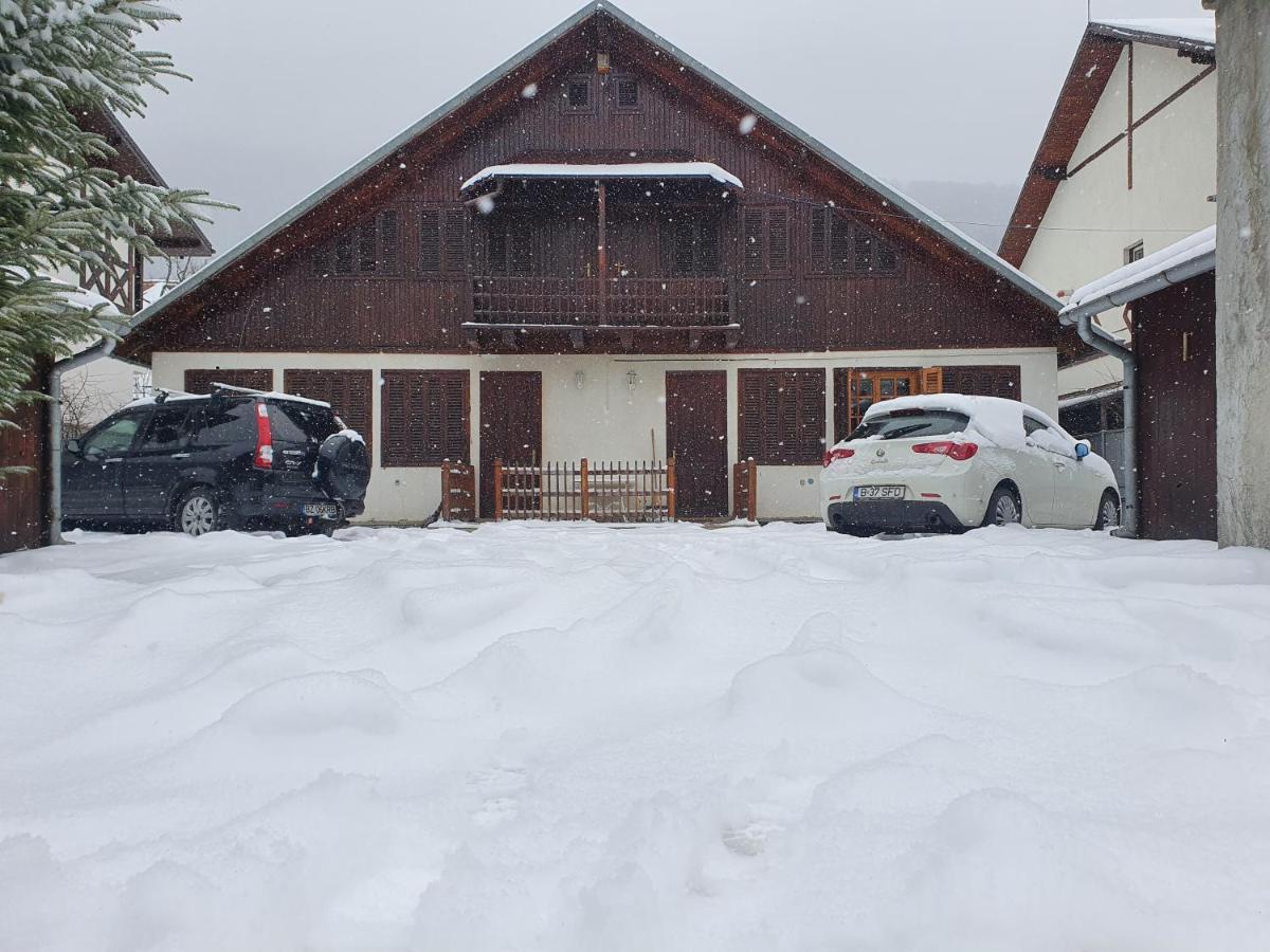 Vila Panselutelor 6 Sinaia Exteriér fotografie