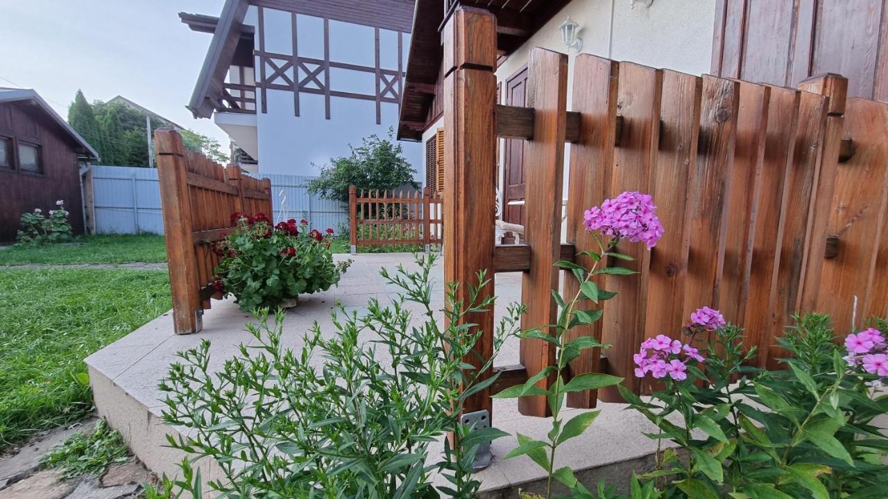 Vila Panselutelor 6 Sinaia Exteriér fotografie