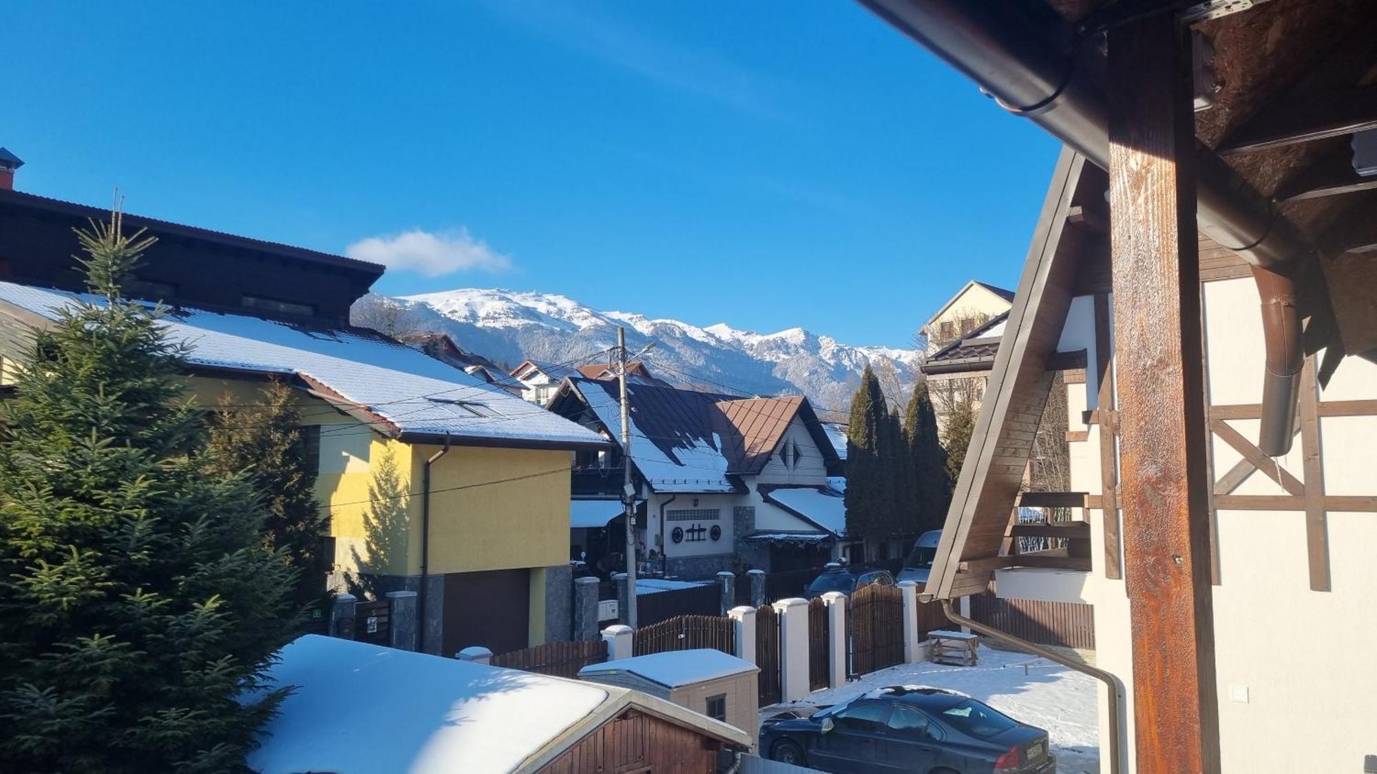 Vila Panselutelor 6 Sinaia Exteriér fotografie